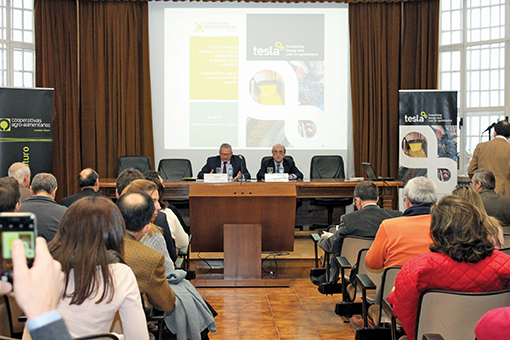 Ahorro energ&eacute;tico: La importancia de la sostenibilidad en las empresas l&aacute;cteas