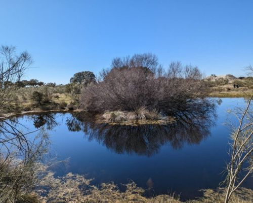 Tolsa impulsa la recuperaci&oacute;n ambiental de la concesi&oacute;n minera La Cierva y crea un nuevo espacio para la biodiversidad pr&oacute;ximo al entorno de Monfrag&uuml;e
