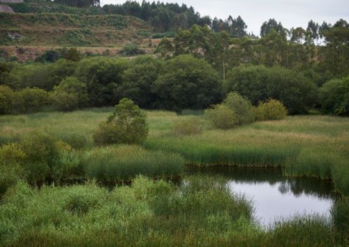 Aminer alcanza las 90 entidades asociadas con la incorporaci&oacute;n de Cobre San Rafael