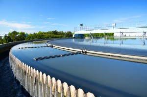 Coagulantes de origen vegetal para aguas residuales: menor coste de operación y mayor sostenibilidad de Veolia Water Technologies.