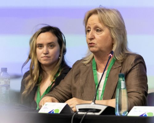 Euromines en el Foro de Transici&oacute;n Verde 6.0: El acceso seguro a las materias primas, clave para el futuro verde e industrial de Europa