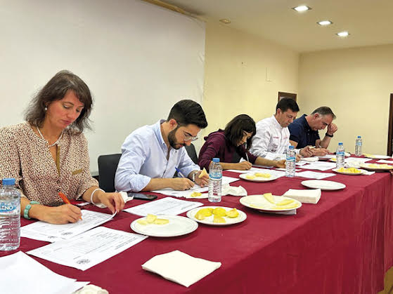 Villa de Malagón, ﻿Premios a la calidad diferenciada en queso manchego