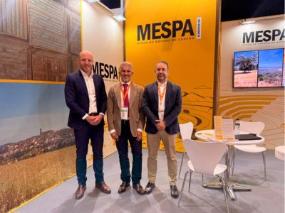 El Proyecto Oropesa prev&eacute; cubrir el 10% del consumo anual de esta&ntilde;o en Europa